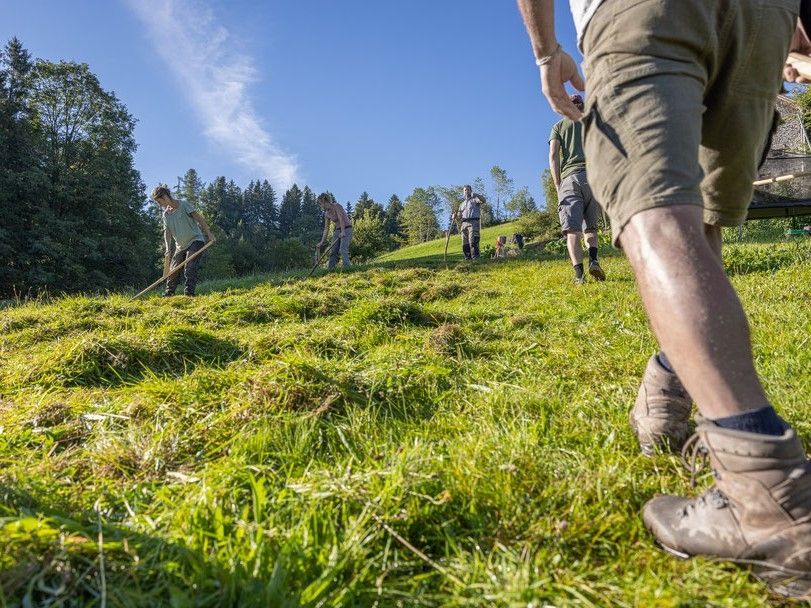 25.05.2024 Sensenkurs Fortgeschrittene